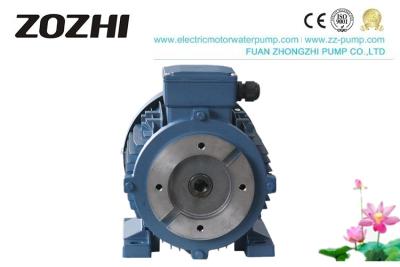 China Foot Mounting Hydraulic Hollow Shaft Motor 1400 RPM For Industrial Die Casting Machines for sale