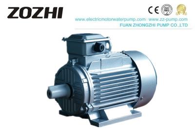 China Serie asincrónica el 100% Wier de cobre del motor de inducción del motor de acero fino del rotor IE2 IE2 en venta