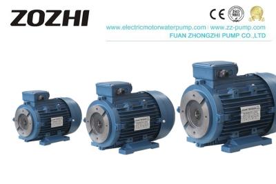 China Female Shaft Three Phase Hydraulic Pump, 380V Asynchronous Electric Motor IP54 IP55 for sale