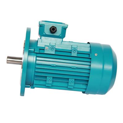 China 4 Pole Electric Motor Water Pump MS Series 4HP 3KW 230/400V 1430RPM MS100L2-4 for sale