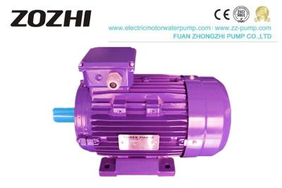 China 380V tipo estándar de la fuente de alimentación del IEC del motor de inducción de 3 fases de poco ruido/vibración en venta