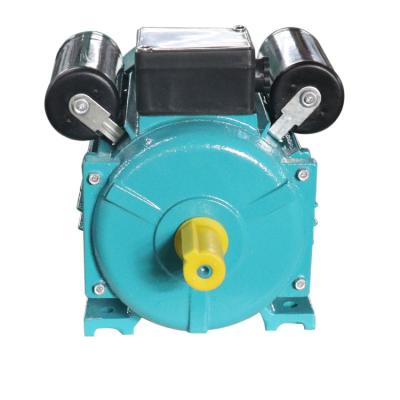 China Cast Iron Electric Motor Water Pump 2 Pole Capacitor Start IP44 YC80B-2 for sale