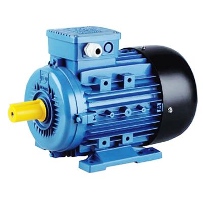 China 2 4 Pole AC Induction IE2 Three Phase Electric Motor for sale