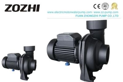 Cina 2hp pompa idraulica centrifuga capa di giardinaggio di irrigazione 15m in vendita
