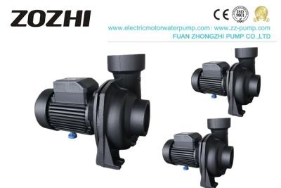 중국 큰 교류 전기 표면 NFM 2HP 물 승압기 펌프 판매용