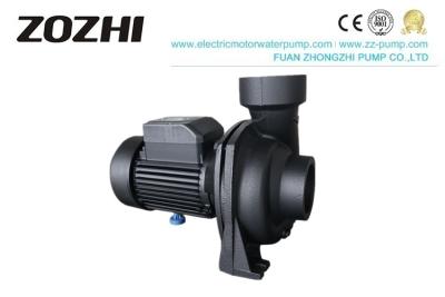 Cina Pompa idraulica di vortice della guarnizione meccanica 2Hp di NFM-130B Burgman in vendita