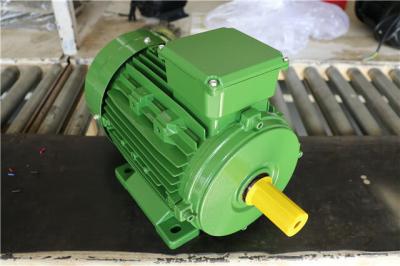 China 6 Poles IP54 1.1kw Cast Iron AC Asynchronous Motor IE3 MS90L-6 for sale