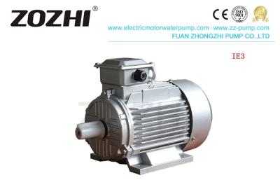 China S1 Duty IE3 5.5KW IP55 Three Phase Asynchronous motor for sale