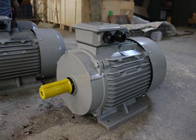 China 2 Pole IP55 50kw 3000rpm 3 Phase Induction Motor For Planer for sale