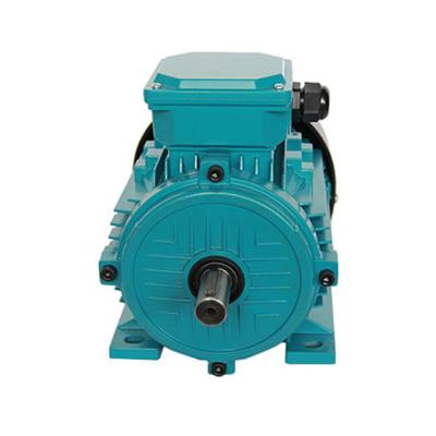 China MS IP44 7.5Hp 5hp 1.5Hp 1.1kw Three Phase Electric Motor for sale