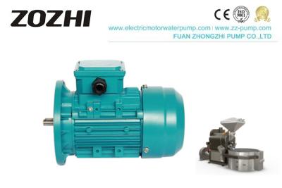 China 0.12Hp 0.09Kw motor de indução de 3 fases para o torrador comercial à venda