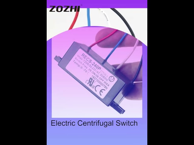 electric centrifugal switch