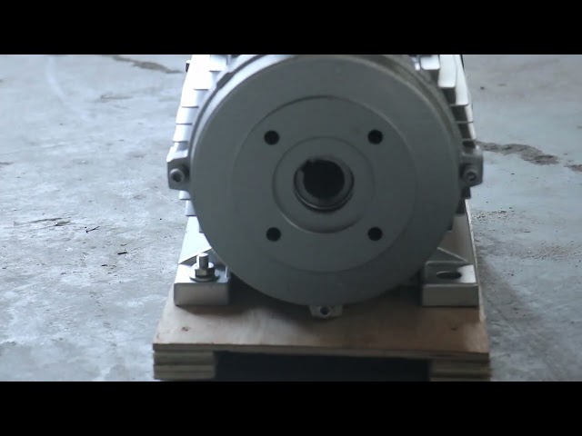 hollow shaft motor HS100L3-4