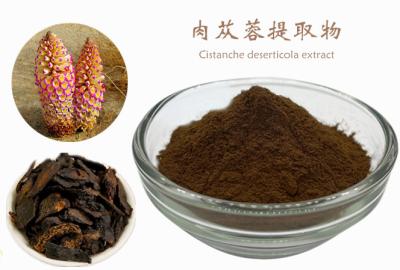 China Natural Cistanche Tubulosa Extract with Acteoside Echinacoside for sale