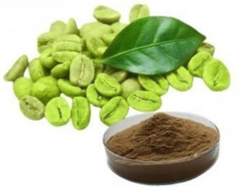 China Natural Green Coffee Bean Extract Enhance the Immunty 50% Chlorogenic Acids for sale