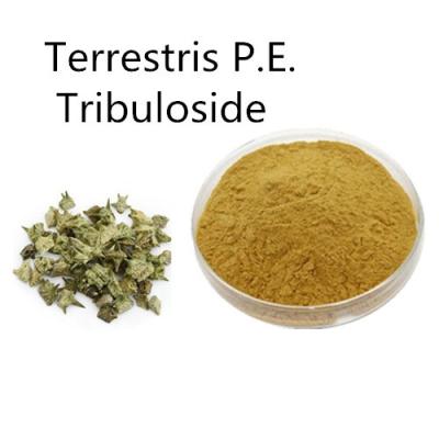 China Tribulus Terrestris P.E. Tribuloside90% for sale