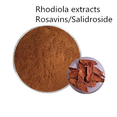 China Rhodiola rosea extract Rhodiola extracts Salidroside 1%, 2%,5%,10% Rosavin 1%,2%,3% for sale
