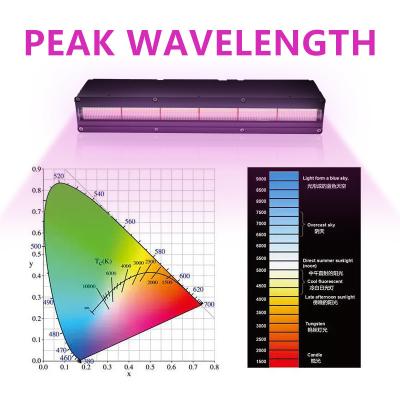 China AC220V 3D Printing LED UV Curing System Water Cooled 200w LED Lamp for sale