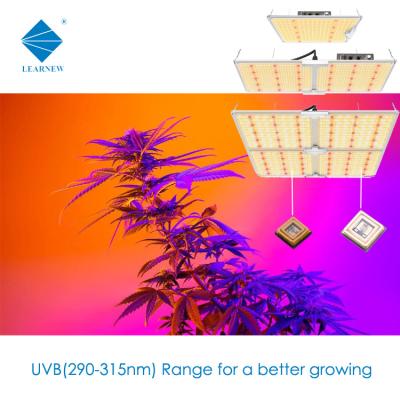 Chine 3W 1W 3535 UVB LED Chips 315nm 306nm 340nm For Medical Treatment à vendre