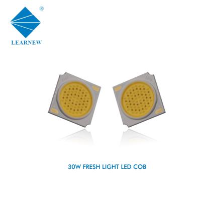 中国 30W 9000-12000K LEDの穂軸は高いCRIの金持ちを着色するビーフのためのLEDの穂軸の破片を欠く 販売のため