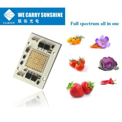 中国 80-100umol/s AC 220V穂軸LED 40*60mm 50ワットの穂軸LEDの低い熱抵抗 販売のため