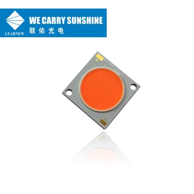 China 380nm-780nm hidropónicos crecen espectro completo ligero de la MAZORCA LED del microprocesador DC38V 50W en venta