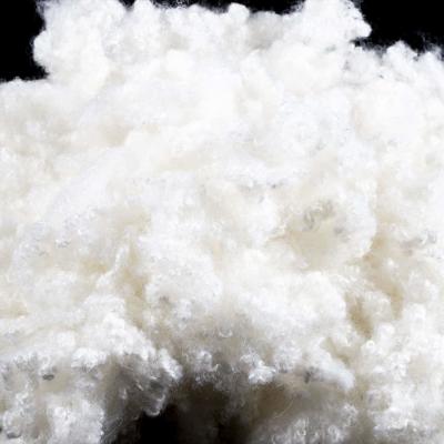 China 15D 100% materiales PET de fibra de poliéster blanca en venta