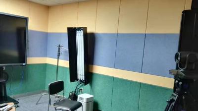 China 40% niedriges Schmelzfaser-Polyester-machen akustische Wände akustische solide Platten feuerfest zu verkaufen