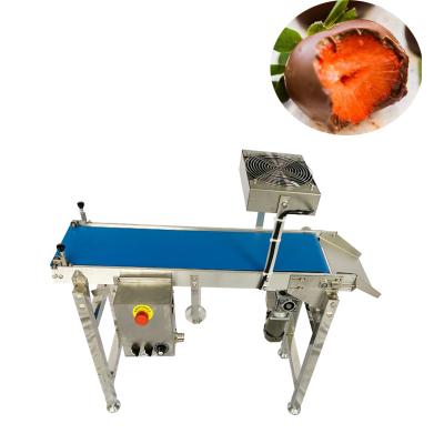 China 304 Stainless Steel Snack Enrobing Chocolate Making Machine for sale