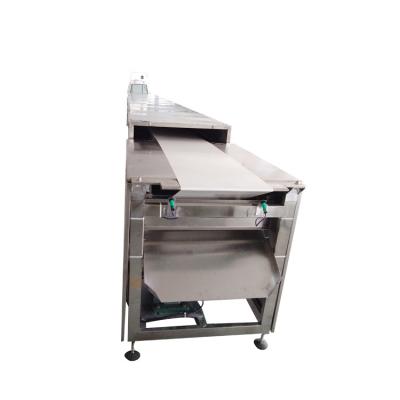 Chine Chocolat industriel de largeur de ceinture de 400MM enrobant la ligne à vendre à vendre