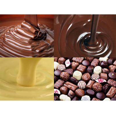 Chine réservoir de fonte revêtu électrique de chocolat de caloducs 500L double à vendre