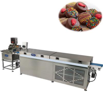 China Coconut Bar Chocolate Coating Machine / Chocolate Enrober Machine For Cakes for sale