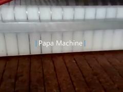 Papa hot selling automatic candy bar machine/Automatic candy bar production line