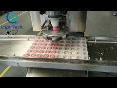 High Efficiency Ice Cream Mochi Making Machine with tray arrangement