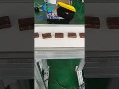 Utilizzazione della macchina di fabbricazione di proteine P307 Mini