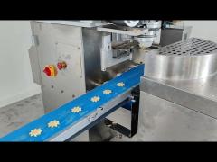 Papa Automatic P160  Cookie biscuit Forming Machine