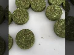 Papa automatische kaas cake gietmachine voor Australië