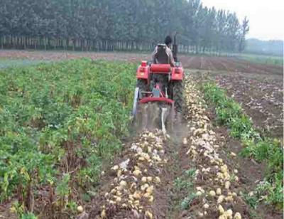 Chine Petit équipement de ferme à échelle réduite de machines agricoles de deux rangées à vendre