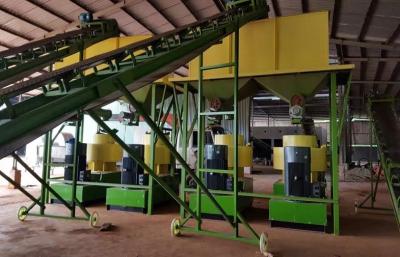 China Beech Wood Sawdust Complete Line Wood Pellet Making Machine With 3T/H Capacity for sale