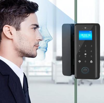 Китай Smart Glass Door Digital Lock 3D Face Fingerprint IC Card Recognition Tuya Access продается