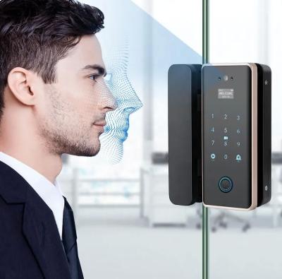 China 3D Face Digital Smart Glass Door Lock Tuya Fingerprint Password IC Card Access for sale