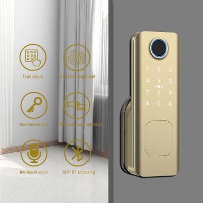 Cina Apartment Interior Door Digital Lock TTLock Fingerprint Card NFC Access Digital Code in vendita