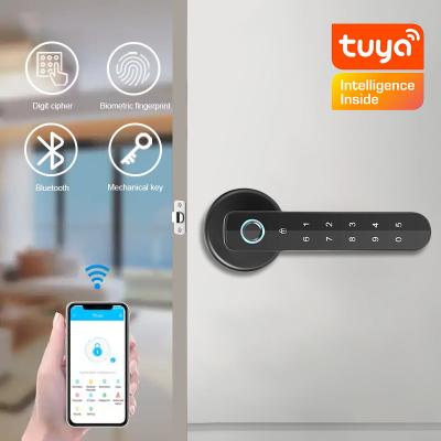 中国 Tuya App Smart Code Door Lock Biometric Password Access Digital Auto Door Lock 販売のため