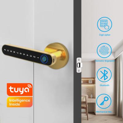 Chine Hotel Semi Auto Smart Fingerprint Door Lock Tuya App TTLock Smartphone Access à vendre