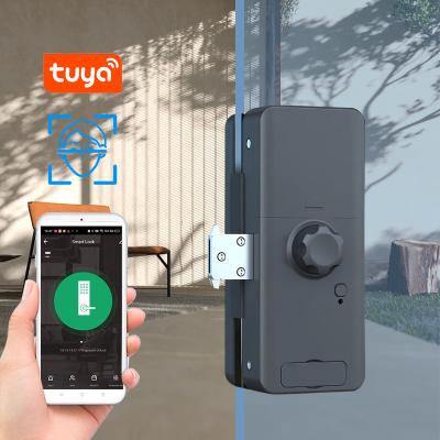 China Tuya Remote Control Face Recognition Door Lock Face Identify Office Glass Door Lock for sale