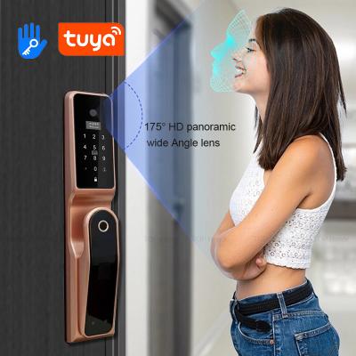 China Tuya WiFi Smart 3D Face Recognition Digital Lock Com Peephole Snapshot Painel de Toque à venda