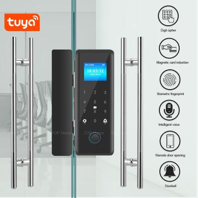 China TFT Screen Punch Free Smart Fingerprint Door Lock Tuya Remote Access For Office à venda