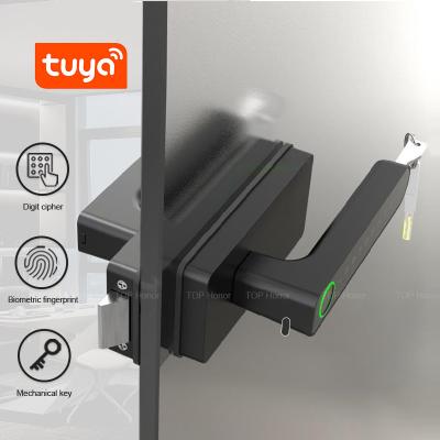China Smart Biometric Fingerprint Glass Door Lock Semi Auto Tuya App Wireless Control à venda