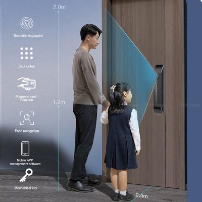China 3D reconhecimento facial fechadura porta da frente Biométrico código anti-peep desbloqueio sem fio à venda