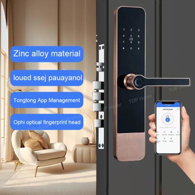 中国 Digital Password Apartment Smart Door Lock TTLock Fingerprint IC Card Access 販売のため